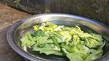 早上洗青菜来泡，农村家庭都自己腌泡菜，四川泡菜的做法