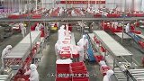 美国农民这样养猪，怪不得猪肉出口世界第一，看着就很过瘾