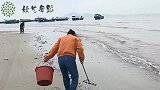 这次海鲜妹赶海又捡到什么好货？堆积如山的贝壳，可以当装饰品