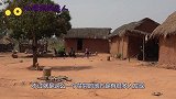 为啥非洲人不愿种地？看到当地“大香肠树”，网友：是我也不种