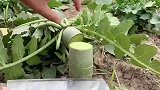 发现了一个好方法