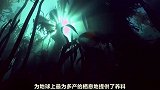 白条丽眼鲷为守护海中领地居然能从雌性变为雄性！