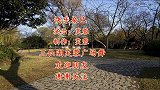 广场舞《快乐桑巴》简单欢快的步子舞，坚持跳两遍，胜过百步走