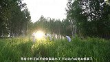 露水到底有多脏？老外收集4大瓶露水，看到水质那刻脸色大变