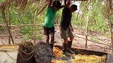 印度的果酒制作过程，不知道那个味儿到底是什么，谁有喝过吗
