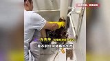 工人在二楼“解剖”管道发现惊人一幕：当场掏出12米长树根