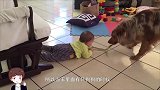 宝宝独自在厨房洗澡，不料被狗狗撞见了，接下来的一幕看完不许笑