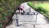 世界上最魔性的3D画，断路以假乱真，吓得狗子连忙掉头！