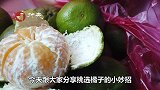 秋天到了，买橘子记得学会4个技巧，包你买到又甜又好吃的橘子