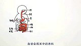 《冷知识》：二狗备孕记