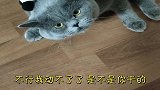 你对我做了什么，我怎么动不了了，放开我