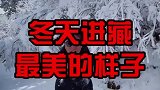 西藏的风景真的太美了啊