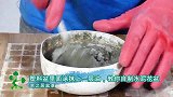 往花盆里面抹油，这是为什么？起初没看懂，看到最后我也想试一试