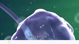 吃维生素C能提高免疫力吗？