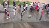 感动！狗妈妈母爱牵动众人