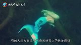 美人鱼被海水冲上岸,村民纷纷前来围观,结果老人一语道破天机