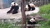 家有俩娃的好处！自己吃完了去抢孩子的，这是亲妈吗？