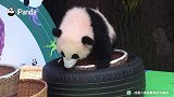 国宝对自己的身材管理