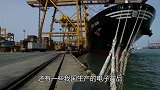 报应来了！印度扣中国集装箱坑自己农民，面对亿万蝗虫没喷雾器