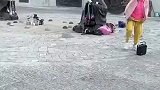 雕像承受太多不该承受的