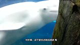 饲养员和小白鲸“亲热”，另一只却吃醋了，小哥哥哭笑不得！