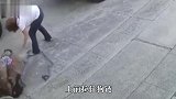 比特犬突然发狂咬人，同伴着急用大石头砸狗，镜头记录惨烈一幕！