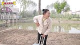 爆笑喜剧：美女打车遇到无赖摩的，没想到家后，司机一分钱不要！