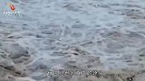 中国的母亲河黄河，源头竟只有碗口这么大的泉眼，真神奇！