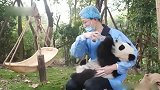 大熊猫：这瓶奶我干了，你们随意！