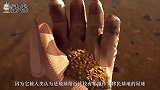 金星的距离比火星更近，为什么金星却不受科学家喜欢？