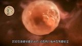 受精卵着床后，胎宝还要经历这2道“坎”，每一道都特别不容易