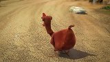 疯狂的兔子：兔子很无辜，被一群鸡围住，还一直绕圈圈！