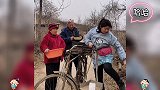 搞笑视频：哎呀妈呀是班主任快闪啊，人类迷惑行为鉴赏