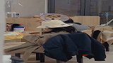 每次被它这样看，都觉得自己也被它爱着