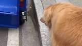 车车再小一点就坐不下了