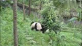 来吧，过几招！