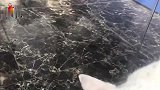 看一只流浪猫第一次吃到猫粮时的情景，我泪奔了……