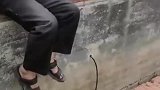 大爷跳进许愿池，拿走许愿钱园区回应令人震惊