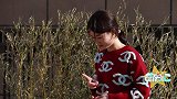 猫咪得了猫瘟性命堪忧，医生建议安乐，主人坚持治疗，不忍它痛苦