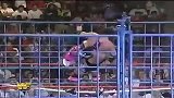 WWE-50大冠军战役第6战：《夏日狂潮1994》布雷特哈特vs欧文哈特-专题