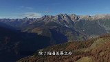 让人费解！无人机拍到罕见画面，钓鱼时遇上鳄鱼捕食“小牛”？