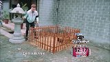 果然是好人有好报！贾乃亮帮老人抓鸡，成功获得“灰姑娘”的线索