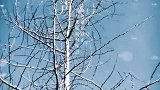 一定要爱着点什么，恰似草木对光阴的钟情。。。