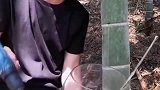 城里人感受不到的乐趣，上山砍竹酒，忍不住接了一口喝！