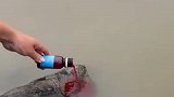 这打窝神器，据说都能把人引来