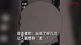 成都夜空多次现不明长条黑影！目击者：联想到“龙”