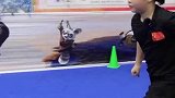 9岁小女孩练习武术4年，不怕累不怕疼