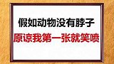 假如动物没有脖子会是怎么样呢？