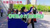 新疆维吾尔族歌舞《阿里木汗的果园》表演琦琦老师和赵宇老师