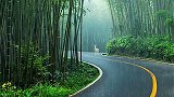 都喜欢听雨，原来是这山林竹海惹了骤雨，浓墨惹了相思，治愈了心灵。竹林